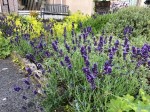Images for Tantallon Court, Glenrothes, KY7