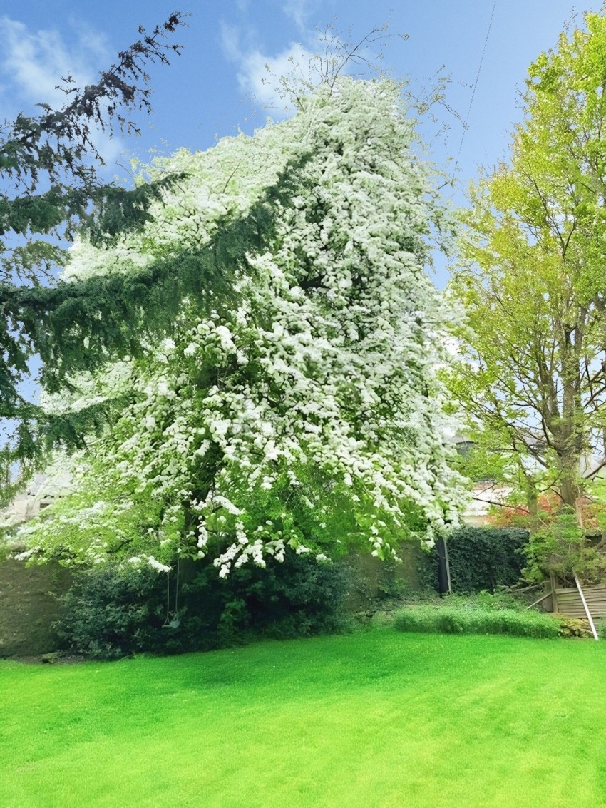 Images for Laurel Bank Drive, Markinch, KY7