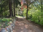 Images for Kiltarlity,