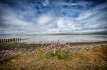 Images for Stuarton, Ardersier, Inverness