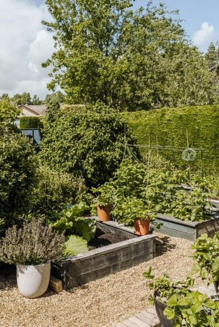 Images for Drumlie Gardens, Glenrothes