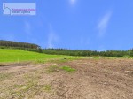 Images for Dingwall, IV7