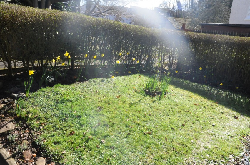 Images for Ellon Park, Glenrothes, KY7