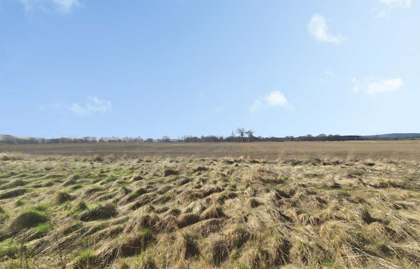 Images for Arabella, Tain, IV19