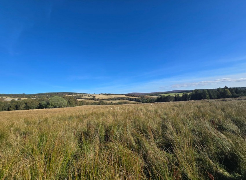 Images for Grantown-On-Spey, PH26